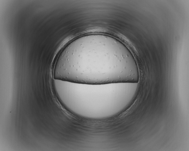 X0000116581274200912101301