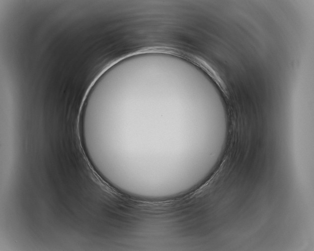 X0000116581276200912101301