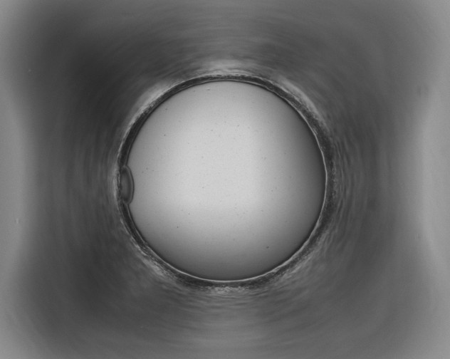 X0000116581277200912101301
