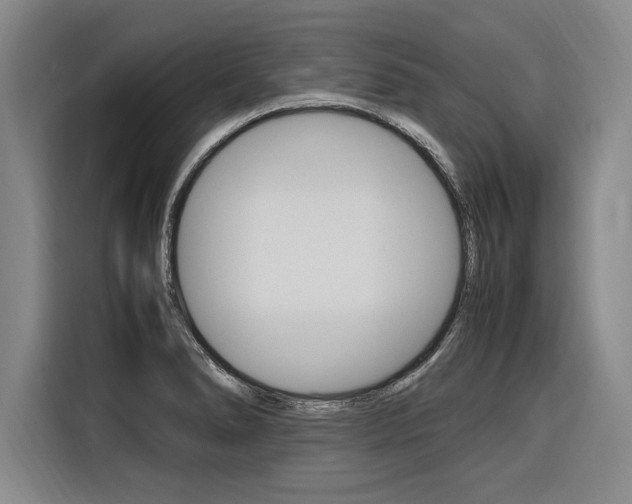 X0000116581278200912101301