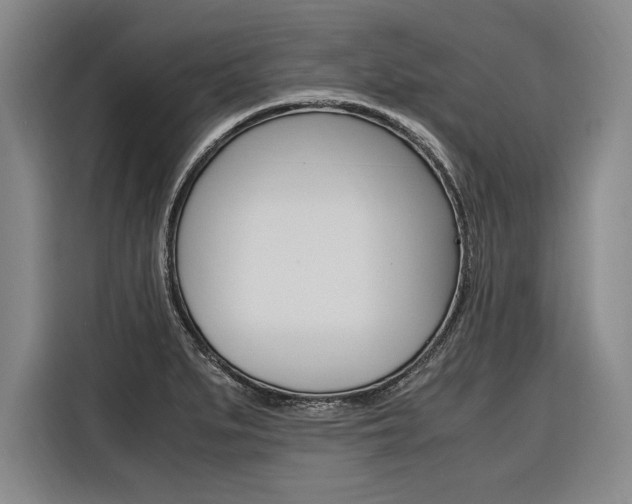 X0000116581279200912101301