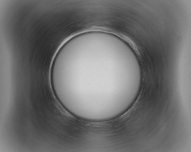 X0000116581280200912101301