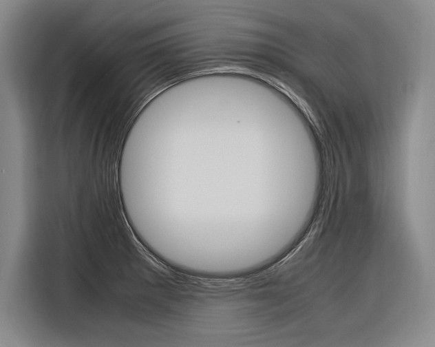 X0000116581281200912101301