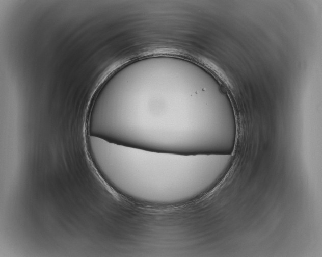 X0000116581282200912101301