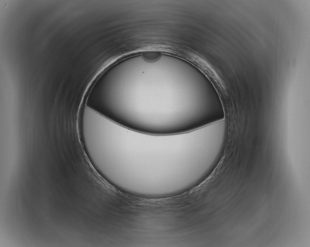 X0000116581284200912101301