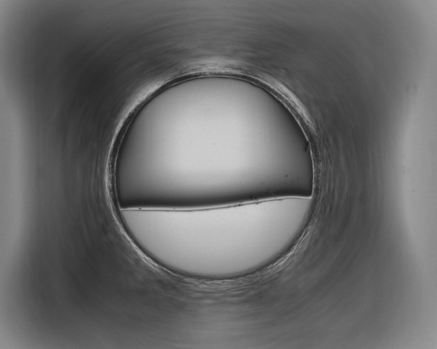 X0000116581285200912101301