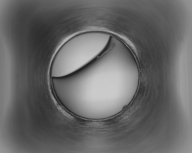 X0000116581287200912101301
