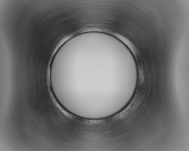 X0000116581290200912101301