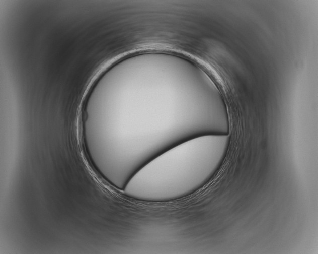 X0000116581295200912101301