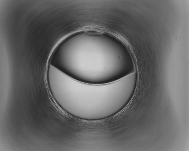 X0000116581296200912101301