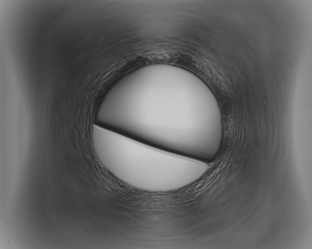 X0000116581297200912101300