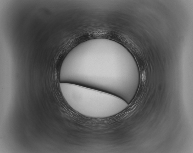 X0000116581299200912101300