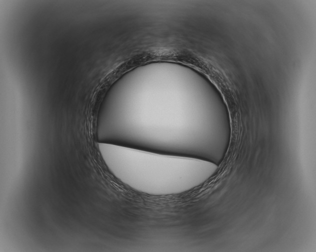 X0000116581301200912101300