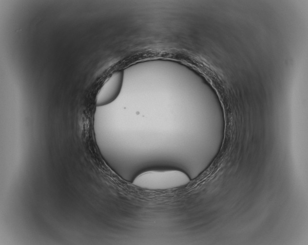 X0000116581302200912101300