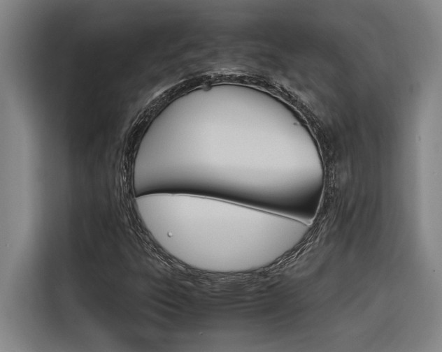 X0000116581303200912101300