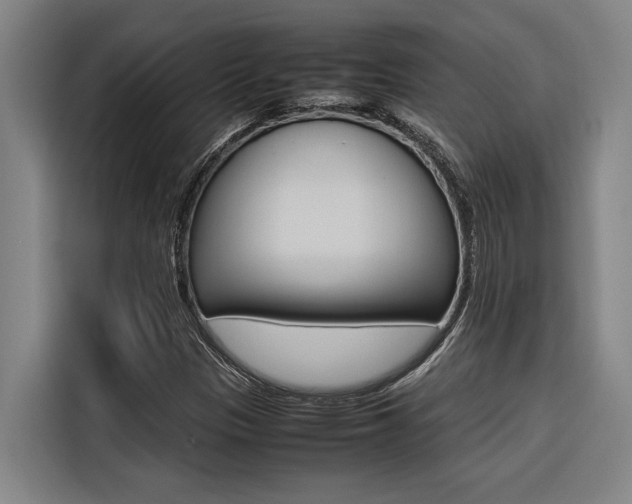 X0000116581305200912101301
