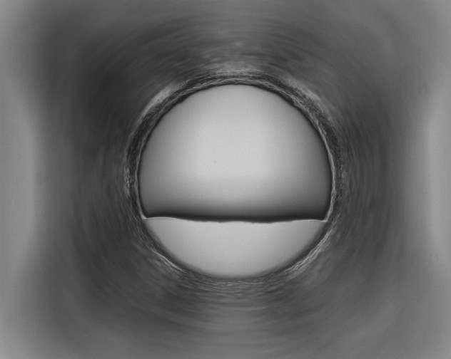 X0000116581306200912101301