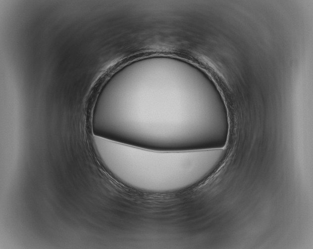 X0000116581307200912101301