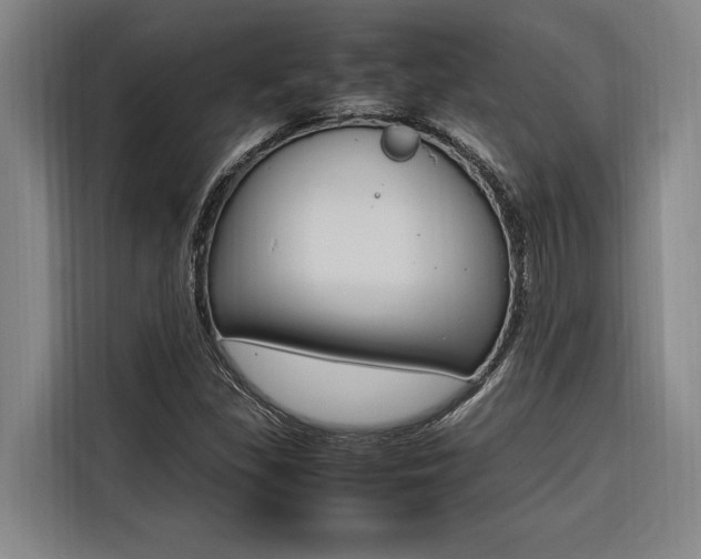 X0000116581309200912101301