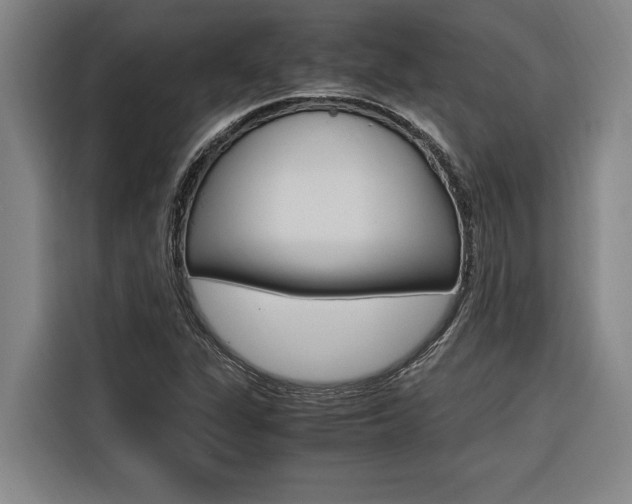 X0000116581311200912101301