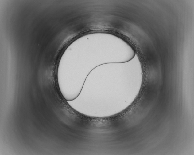 X0000116581314200912101301