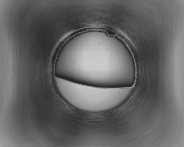 X0000116581315200912101301