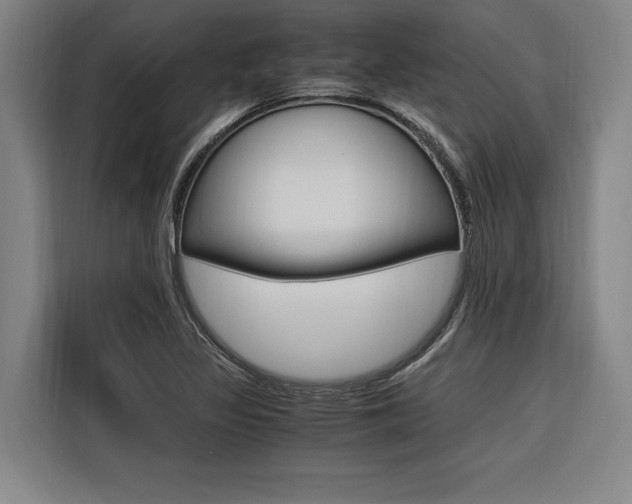 X0000116581317200912101301