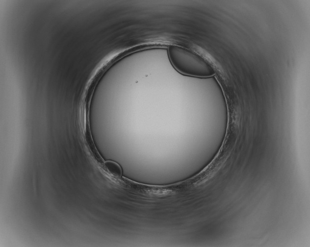 X0000116581323200912101301