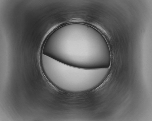 X0000116581325200912101301