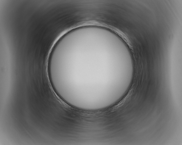 X0000116581326200912101301