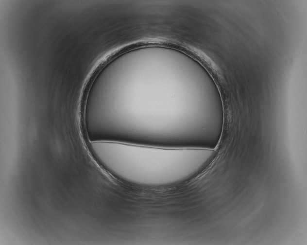 X0000116581327200912101301