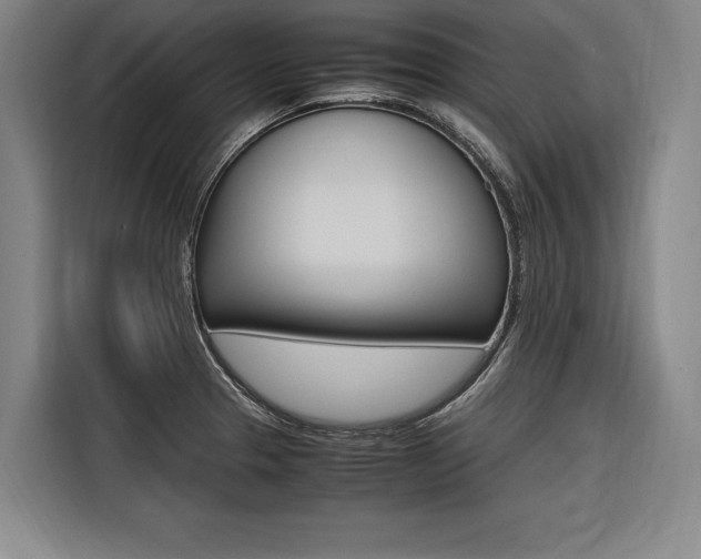 X0000116581329200912101301