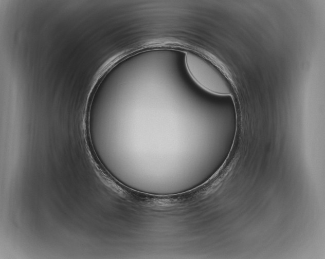 X0000116581330200912101301