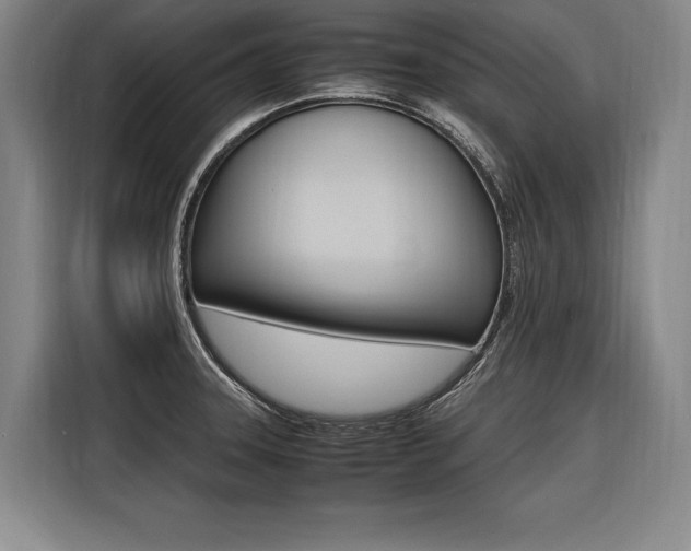 X0000116581331200912101301