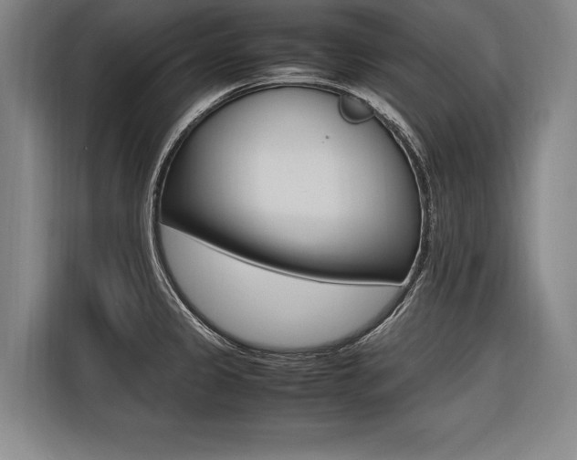 X0000116581333200912101301