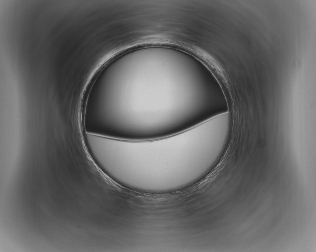 X0000116581334200912101301