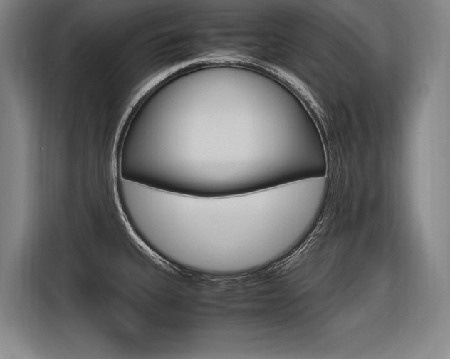 X0000116581335200912101301