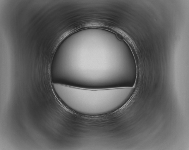 X0000116581337200912101301