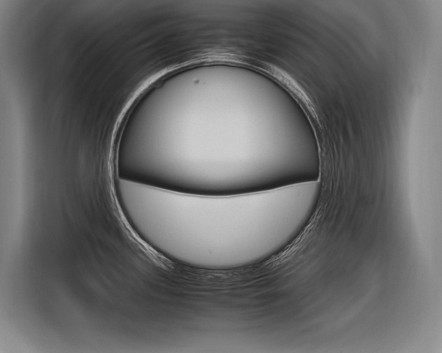 X0000116581339200912101301
