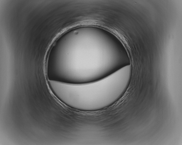 X0000116581342200912101301