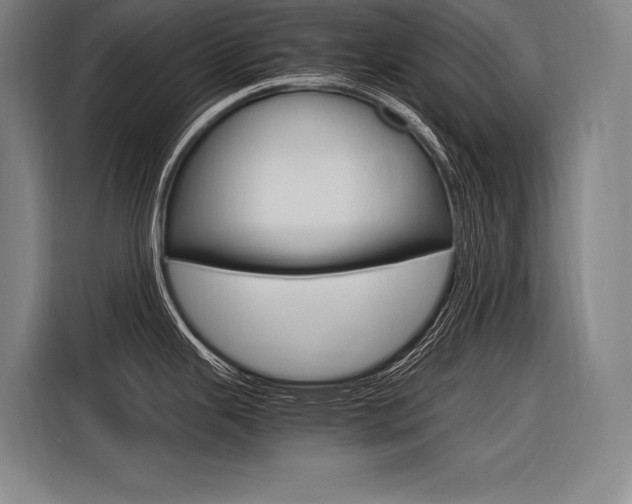X0000116581343200912101301