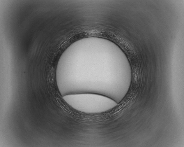 X0000116581346200912101300
