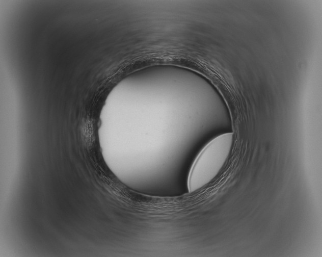 X0000116581347200912101300