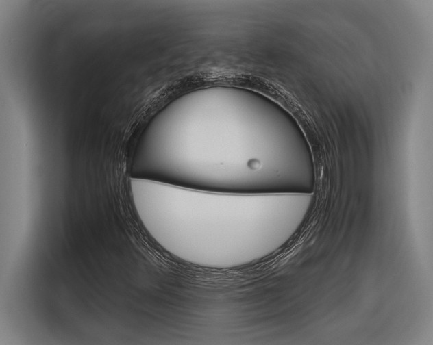 X0000116581348200912101300