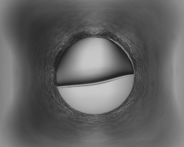 X0000116581349200912101300