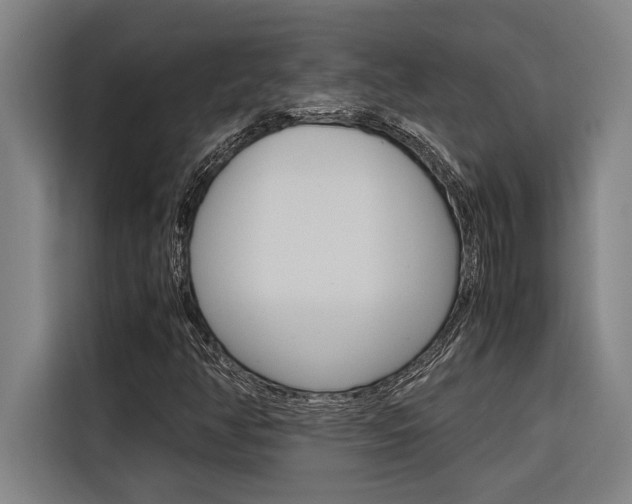 X0000116581350200912101300
