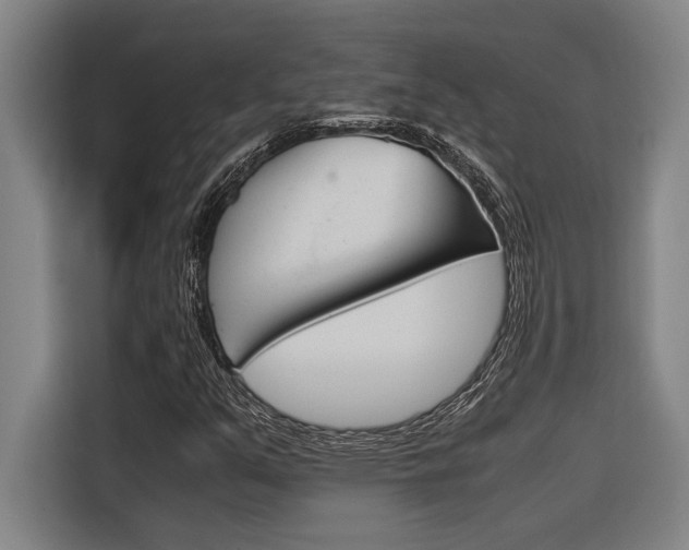X0000116581351200912101300