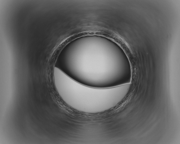 X0000116581352200912101300
