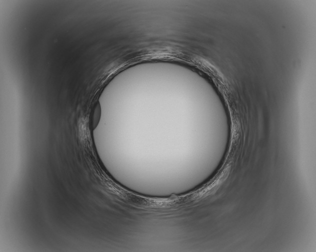 X0000116581353200912101300