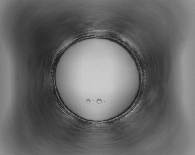 X0000116581354200912101300